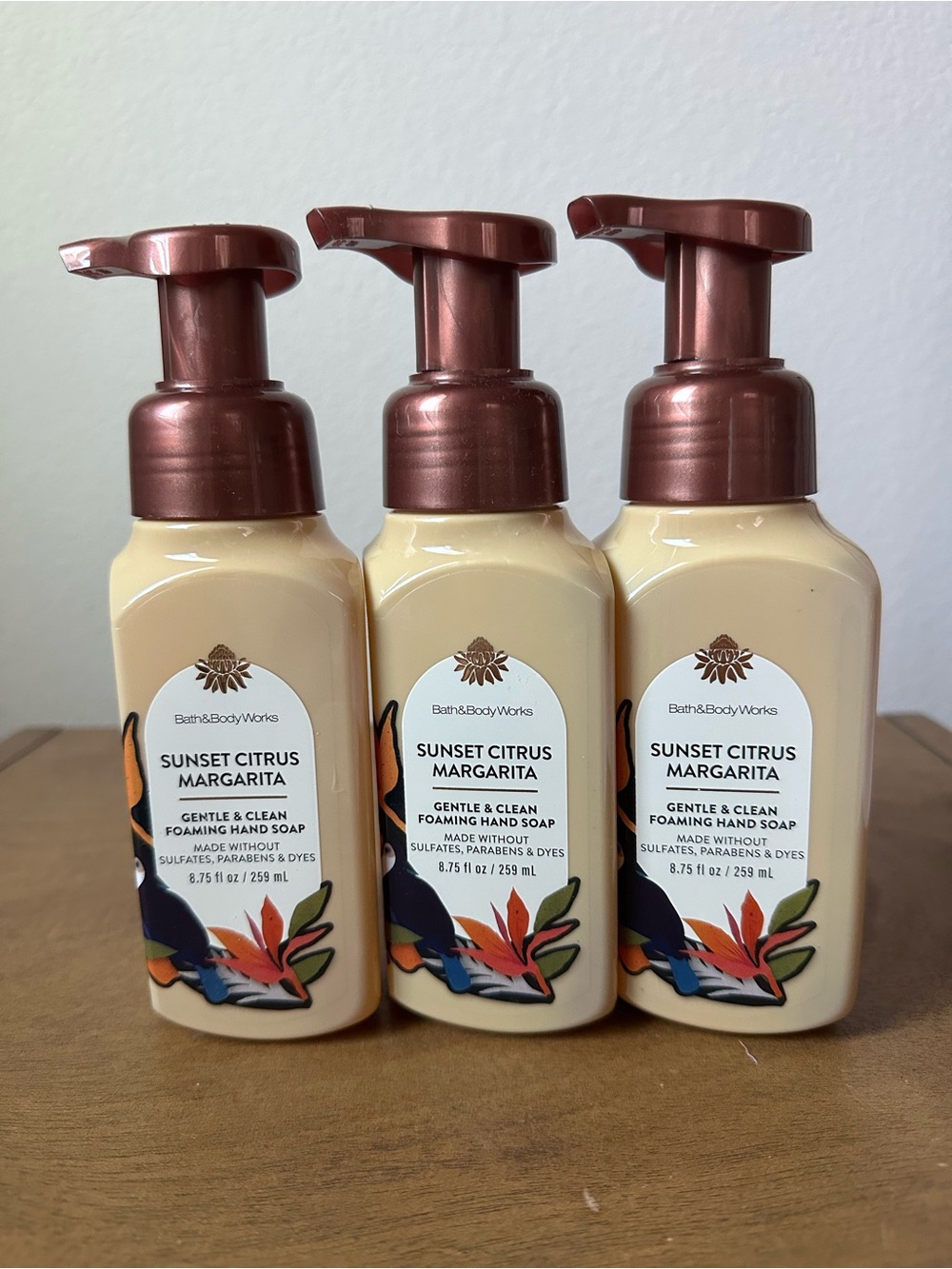 X3 Bath & Body Works Sunset Citrus Margarita Gentle Foaming Hand Soaps
